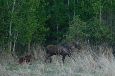 DSC_2114.jpg