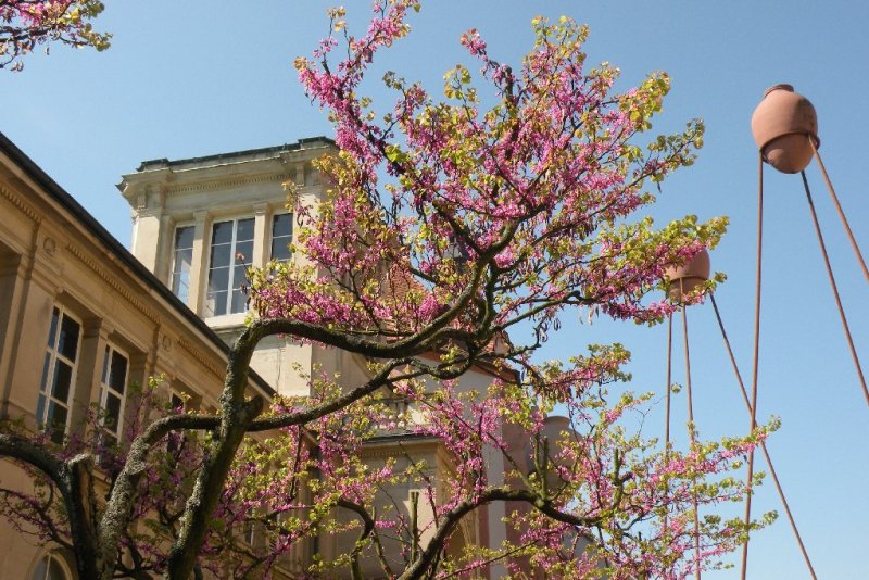 Rear side of Friedrichsbad