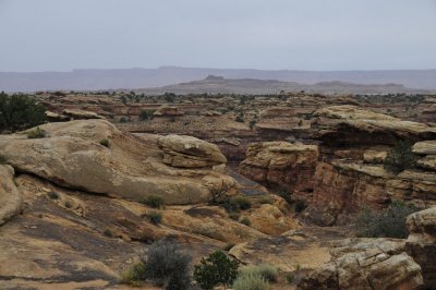 _DSC9140.jpg