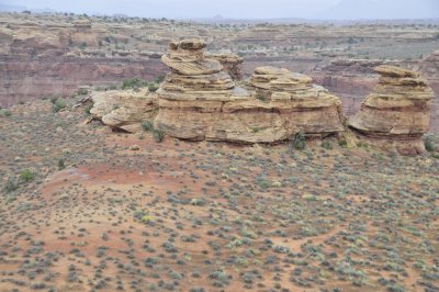 _DSC9143.jpg
