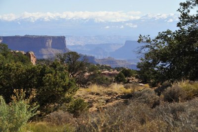 _DSC9380.jpg