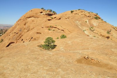 _DSC9401.jpg