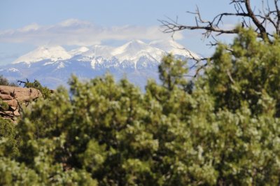 _DSC9450.jpg