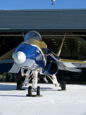 Centennial Hornet  YOD    JL Belliveau