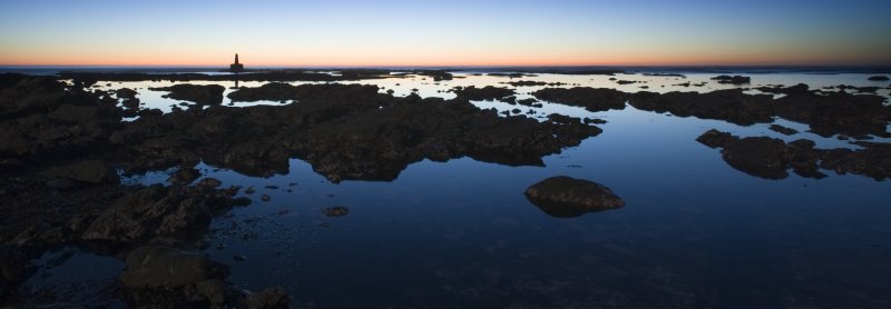 2009_01_29