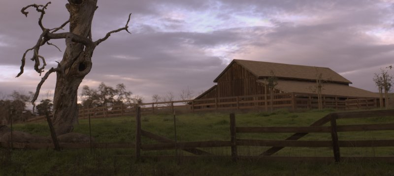 2009-02-10