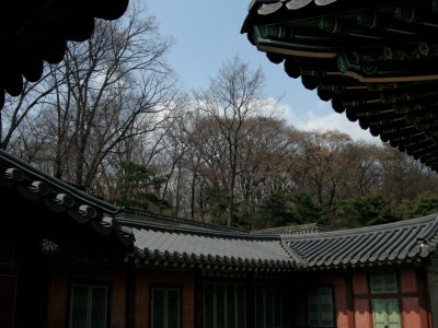 Changdok Palace Detail