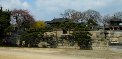 Changdok Palace Detail