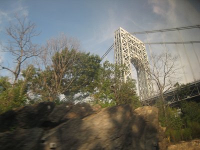 IMG_6691.jpg