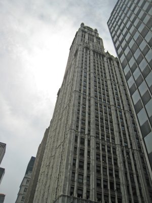 IMG_6729.jpg