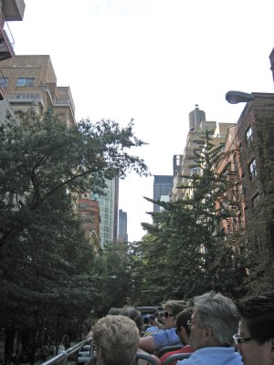 IMG_6781.jpg
