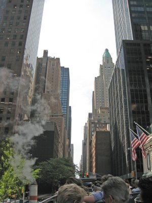 IMG_6782.jpg