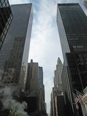 IMG_6783.jpg