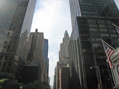 IMG_6784.jpg
