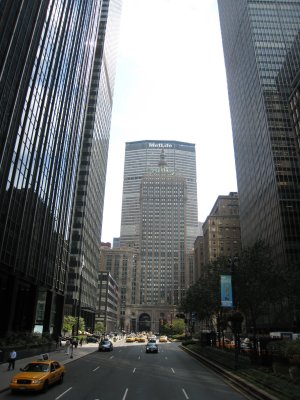 IMG_6786.jpg