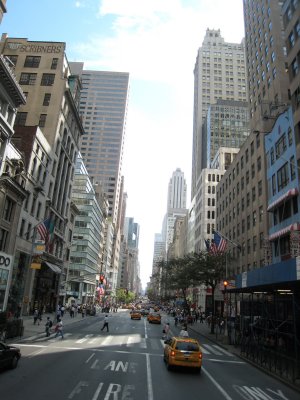 IMG_6790.jpg