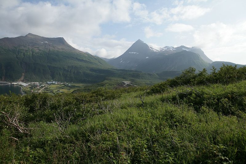 View from our future cabin