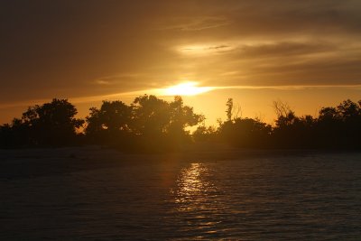 IMG_3604.jpg