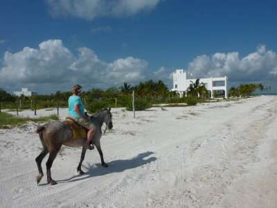 sP1000570.jpg