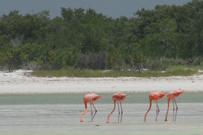 IMG_3698.jpg