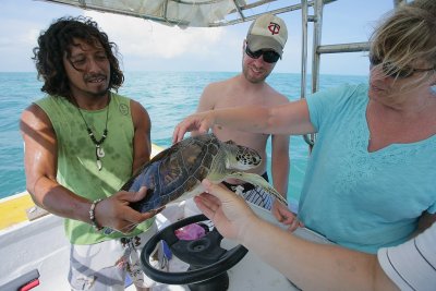 Juan showing the sea turtle to the gringos