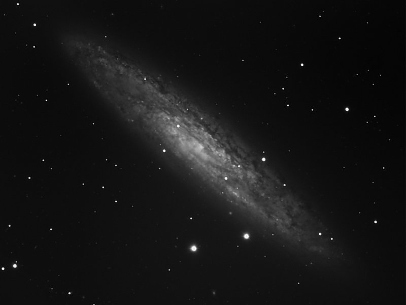 NGC 253 - The Sculptor Galaxy 07-Nov-2010