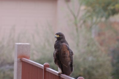 DSC_3199.jpg