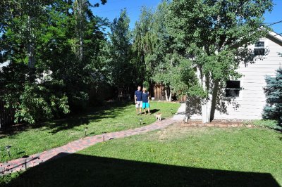 Sean's back yard.