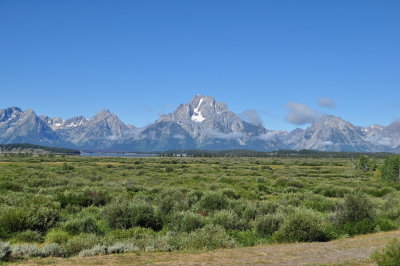 DSC_0105.jpg