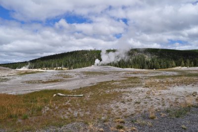 First stop in the park - Old Faithful.