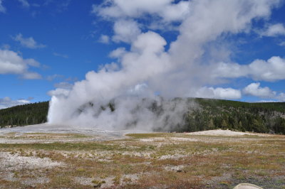 DSC_0135.jpg