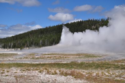 DSC_0137.jpg