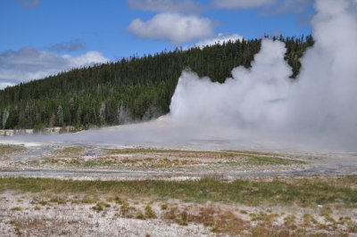 DSC_0138.jpg