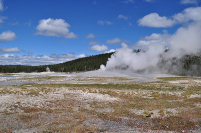 DSC_0142.jpg