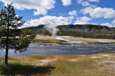 Continued around the west loop, stopping in Biscuit Basin. The park is full of hot spring areas, not just Old Faithful.