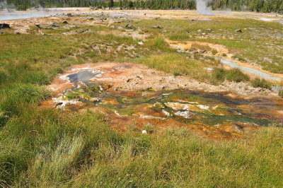DSC_0153.jpg
