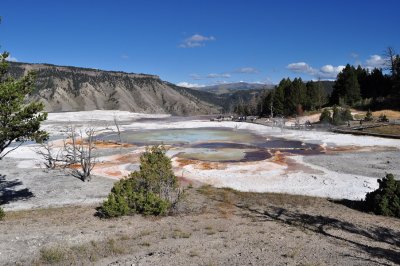 DSC_0203.jpg