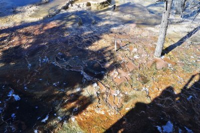 DSC_0216.jpg