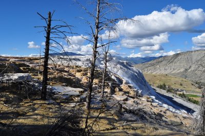 DSC_0219.jpg