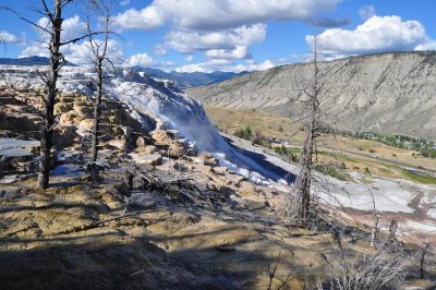 DSC_0222.jpg