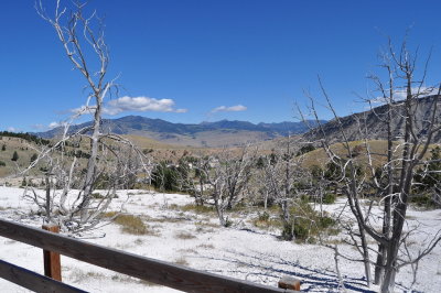 And it's not snow! (Calcium?)