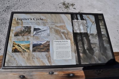 DSC_0247.jpg