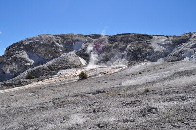 DSC_0254.jpg