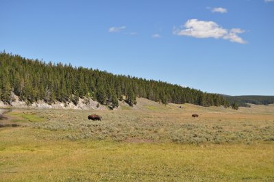 DSC_0292.jpg