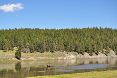 DSC_0294.jpg