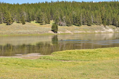 DSC_0296.jpg