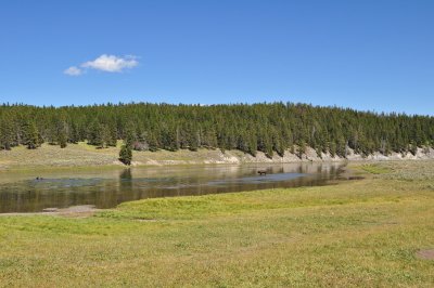 DSC_0298.jpg