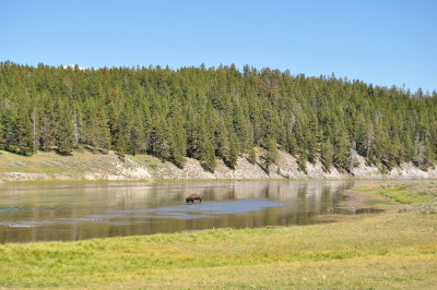 DSC_0299.jpg