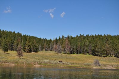 DSC_0302.jpg