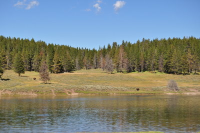 DSC_0304.jpg